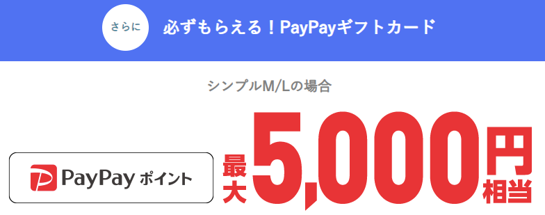 PayPayギフトカード